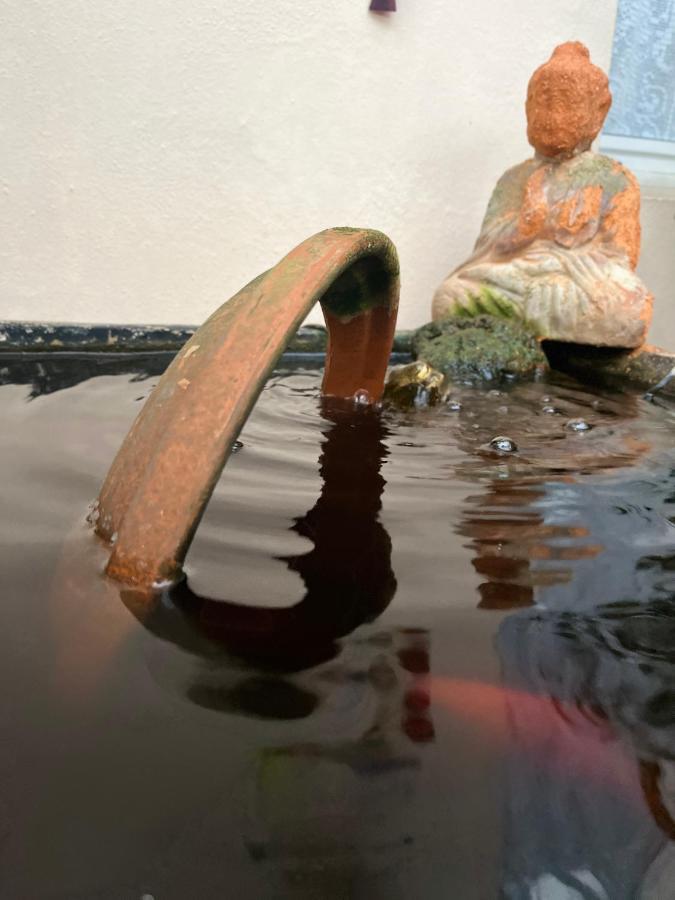 GüimarCasa Tesalia别墅 外观 照片